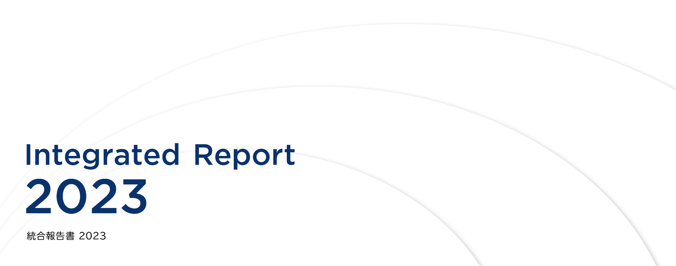 Integrated Report2022